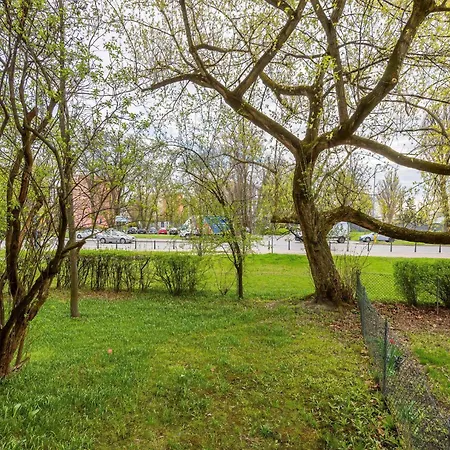 Modern Black & Wooden Near The Airport By Renters شقة *