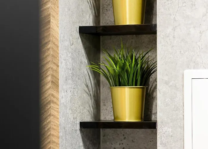 Apartment Modern Black & Wooden Near The Airport By Renters