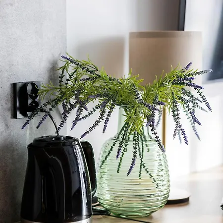 Lejlighed Modern Black & Wooden Near The Airport By Renters *
