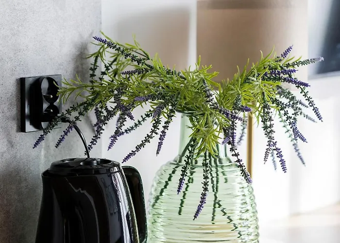 Apartment Modern Black & Wooden Near The Airport By Renters *